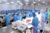 Tuyển Chế Biến Thủy Sản - C&oacute; Hỗ Trợ Khi Xuất Cảnh