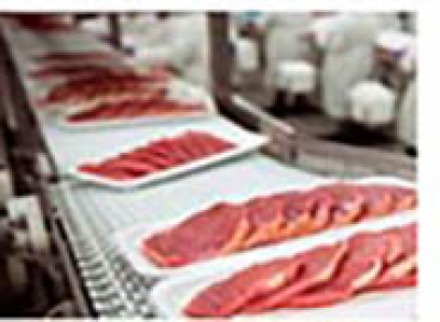 THỰC PHẨM NAM NỮ LƯƠNG CAO, TĂNG CA NHIỀU 1/2026