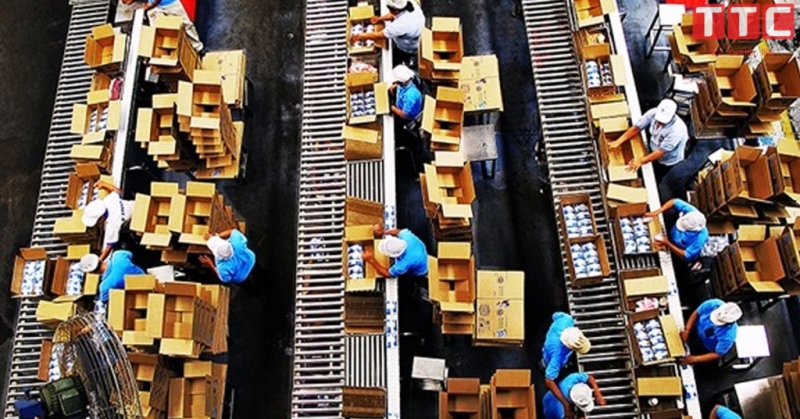 NH&Acirc;N VI&Ecirc;N NAM Đ&Oacute;NG G&Oacute;I C&Ocirc;NG NGHIỆP Ở FUKUODA 4/2026